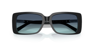 Black On Tiffany Blue / Azure Gradient Blue (80559S)