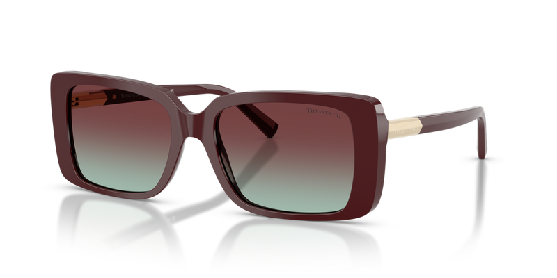 Tiffany TF4249 in Burgundy / Azure/Burgundy (8389V5) - Alternate View