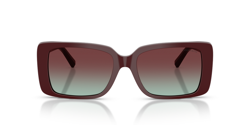 Tiffany TF4249 in Burgundy / Azure/Burgundy (8389V5) - Alternate View