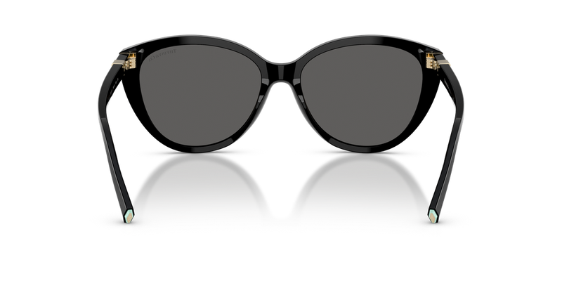 Tiffany TF4251F in Black / Dark Grey (8001S4) - Temple Detail