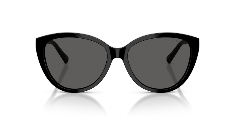 Tiffany TF4251F in Black / Dark Grey (8001S4) - Alternate View