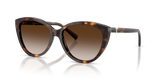 Havana / Brown Gradient (80153B)
