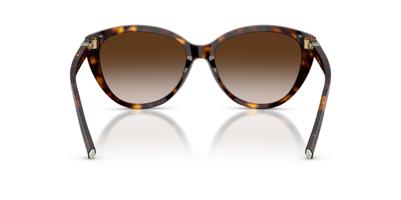 Tiffany TF4251F in Havana / Brown Gradient (80153B) - Alternate View
