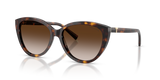 Havana / Brown Gradient (80153B)