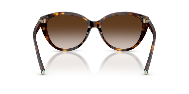 Tiffany TF4251 in Havana / Brown Gradient (80153B) - Alternate View