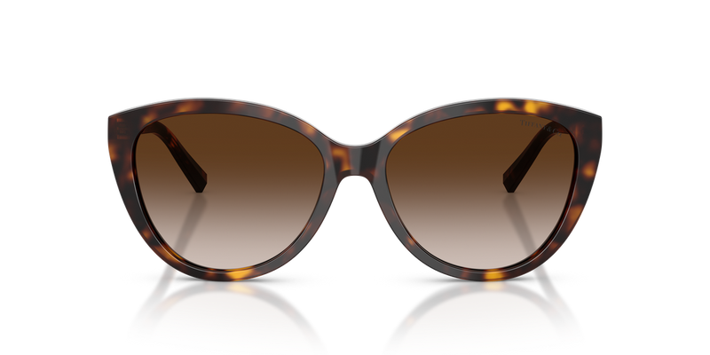 Tiffany TF4251 in Havana / Brown Gradient (80153B) - Alternate View