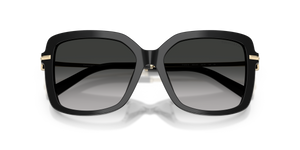 Black / Grey Gradient (80013C)