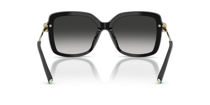 Tiffany TF4252B in Black / Grey Gradient (80013C) - Temple Detail