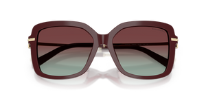 Burgundy / Azure/Burgundy (8389V5)