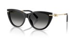 Black / Grey Gradient (80013C)
