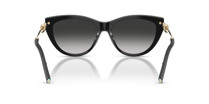 Tiffany TF4253F in Black / Grey Gradient (80013C) - Temple Detail