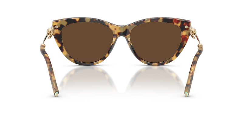 Tiffany TF4253F in Blonde Havana / Light Brown (80643G) - Alternate View