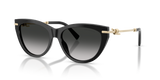 Black / Grey Gradient (80013C)