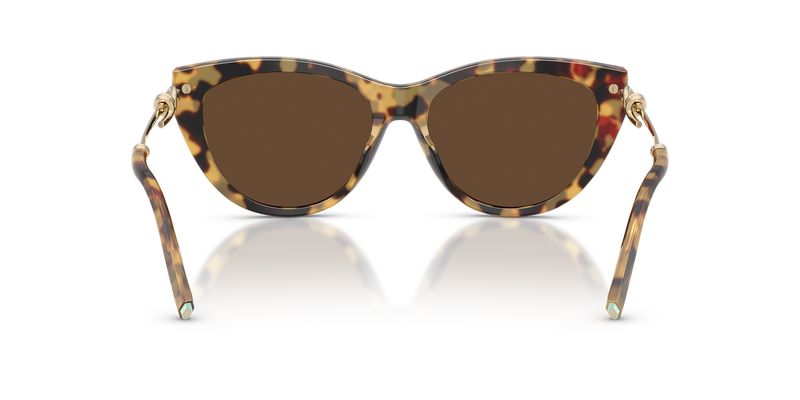 Tiffany TF4253 in Blonde Havana / Light Brown (80643G) - Alternate View