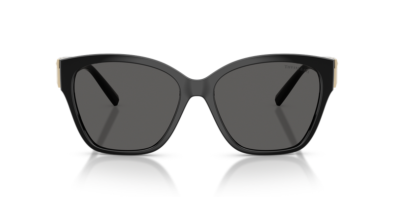 Tiffany TF4254U in Black / Dark Grey (8001S4) - Alternate View