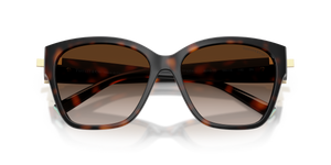 Havana / Brown Gradient (80153B)