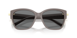 Chocolate Truffle / Dark Grey (840187)