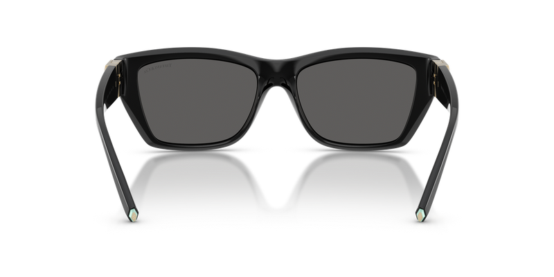Tiffany TF4255U in Black / Dark Grey (8001S4) - Temple Detail