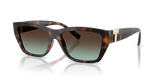 Havana / Azure Gradient Brown (80155D)