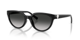 Black / Grey Gradient (80013C)