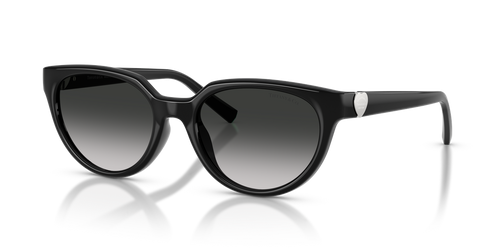 Black / Grey Gradient (80013C)