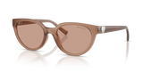 Coca Cola Sapphire / Brown (844973)
