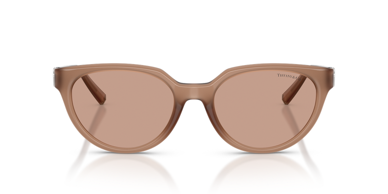 Tiffany TF4256D in Coca Cola Sapphire / Brown (844973) - Alternate View
