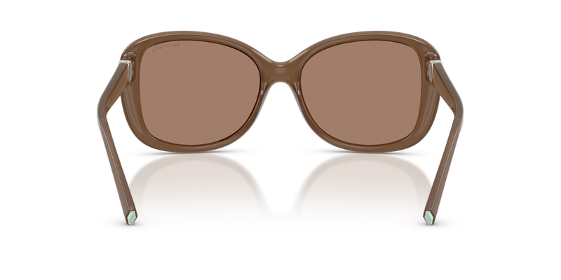 Tiffany TF4257U in Opal Smoky Quartz / Solid Brown (845973) - Alternate View