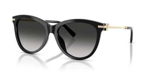 Black / Grey Gradient (80013C)