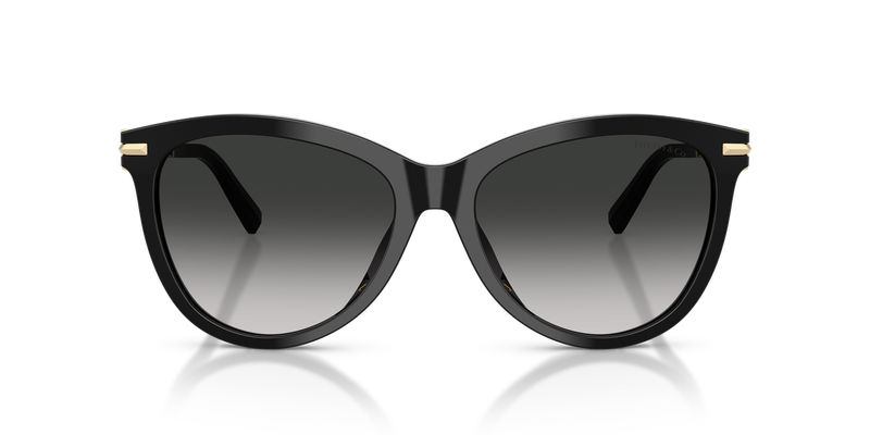 Tiffany TF4258BU in Black / Grey Gradient (80013C) - Alternate View