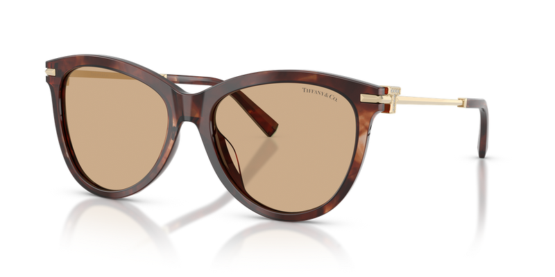 Tiffany TF4258BU in Spotted Brown Havana / Light Yellow (8421/8) - Alternate View
