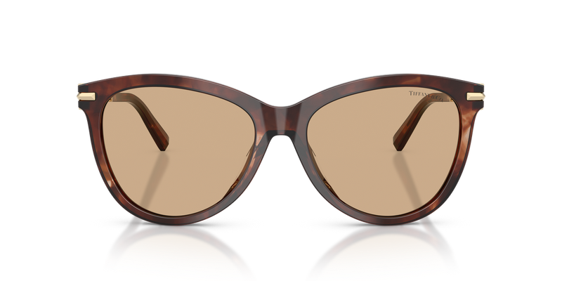 Tiffany TF4258BU in Spotted Brown Havana / Light Yellow (8421/8) - Alternate View