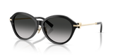 Black / Gray Gradient (80013C)