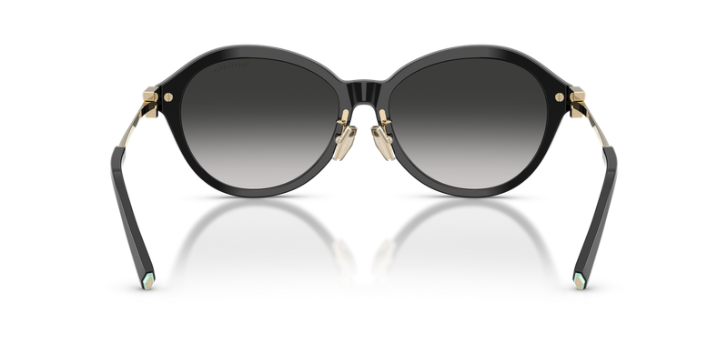Tiffany TF4259F in Black / Gray Gradient (80013C) - Temple Detail