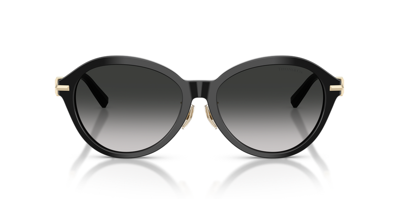 Tiffany TF4259F in Black / Gray Gradient (80013C) - Alternate View
