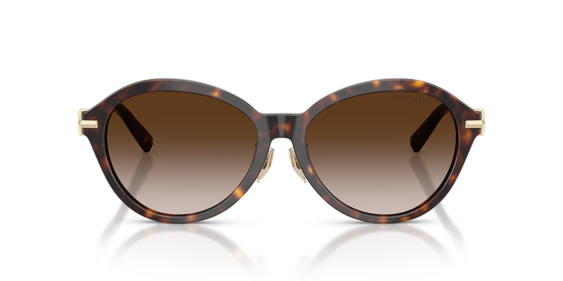 Tiffany TF4259F in Havana / Brown Gradient (80153B) - Alternate View