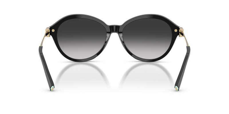 Tiffany TF4259 in Black / Gray Gradient (80013C) - Temple Detail