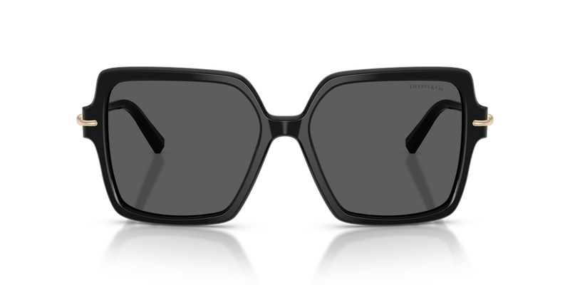 Tiffany TF4260U in Black / Dark Grey (8001S4) - Alternate View