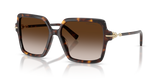 Havana / Brown Gradient (80153B)