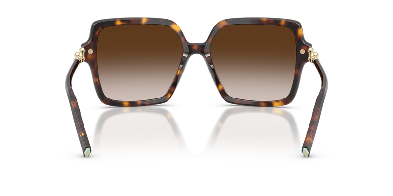 Tiffany TF4260U in Havana / Brown Gradient (80153B) - Alternate View