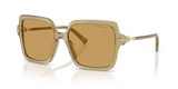 Coca Cola / Ochre (846173)