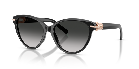 Tiffany TF4261F - Black / Grey Gradient (80013C)