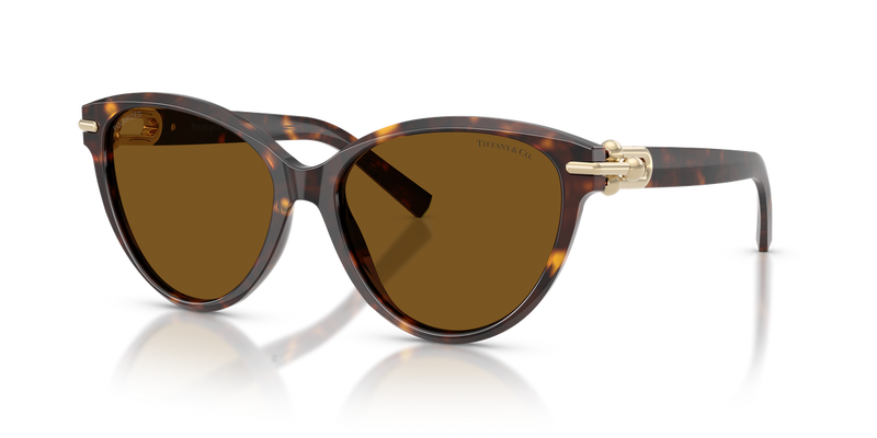 Tiffany TF4261F in Havana / Dark Brown Polarized (801583) - Alternate View