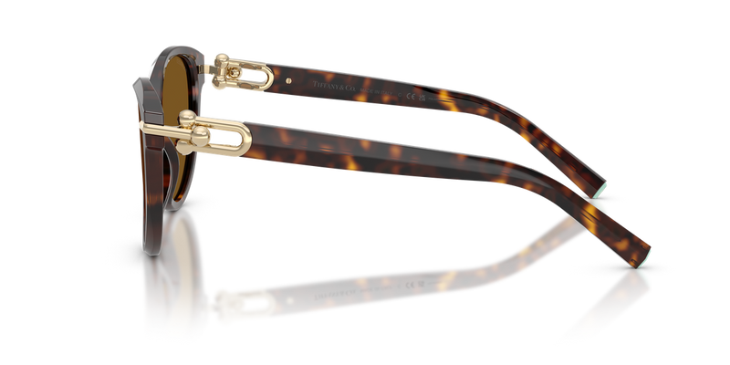 Tiffany TF4261F in Havana / Dark Brown Polarized (801583) - Alternate View