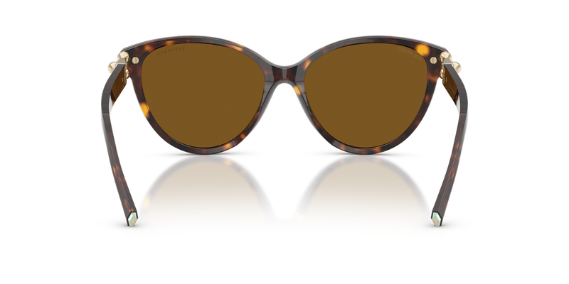 Tiffany TF4261F in Havana / Dark Brown Polarized (801583) - Alternate View