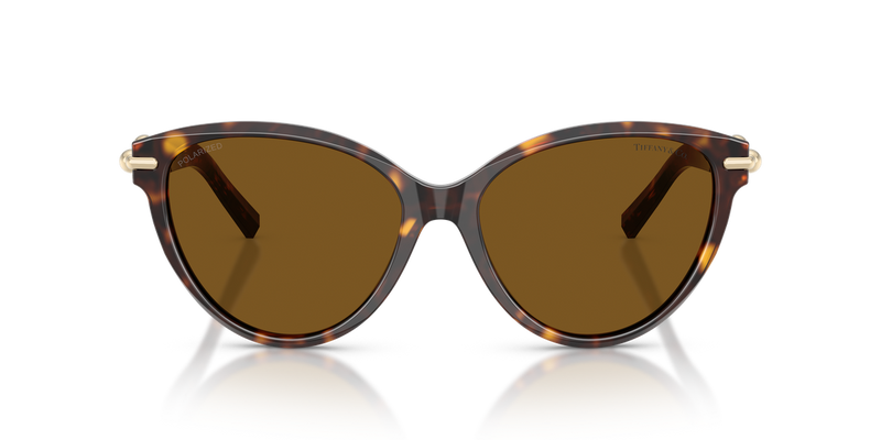 Tiffany TF4261F in Havana / Dark Brown Polarized (801583) - Alternate View