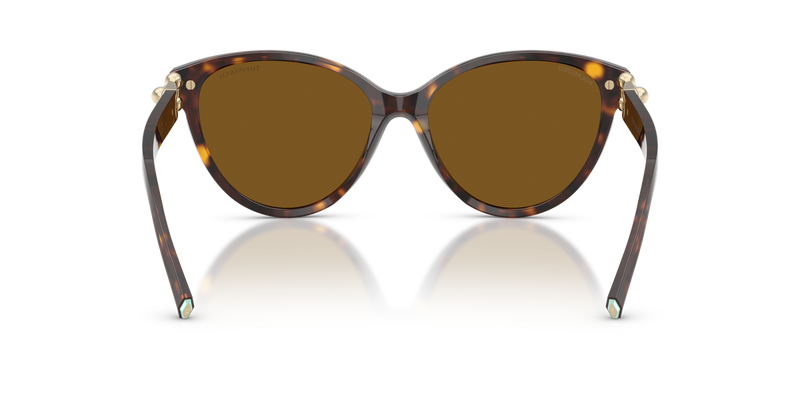 Tiffany TF4261 in Havana / Dark Brown Polarized (801583) - Alternate View