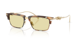 Brown Havana / Brown (845485)