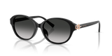 Black / Grey Gradient (80013C)