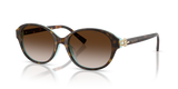 Havana On Tiffany Blue / Brown Gradient (81343B)